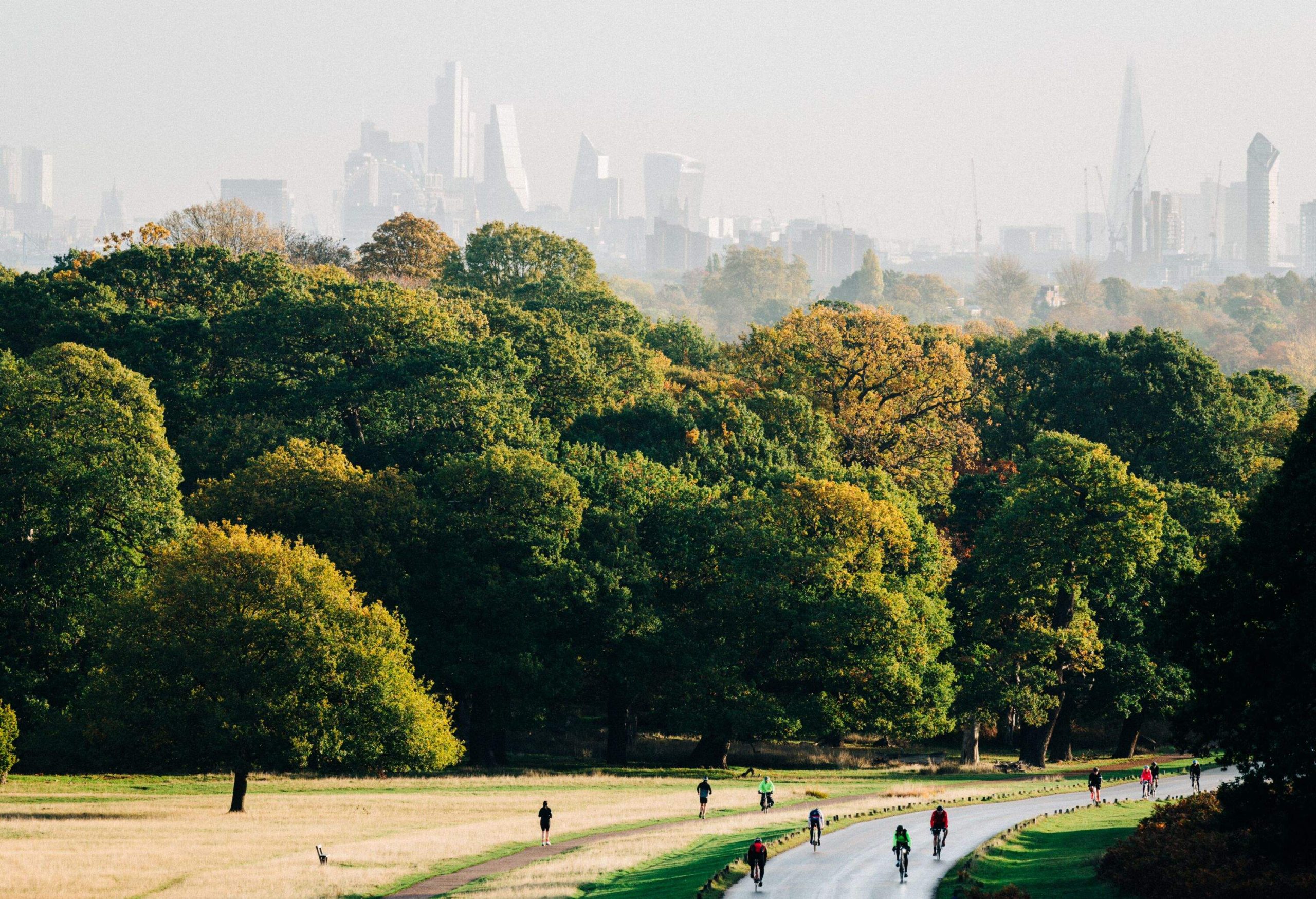 The daily commute - cycling through Richmond Park 
