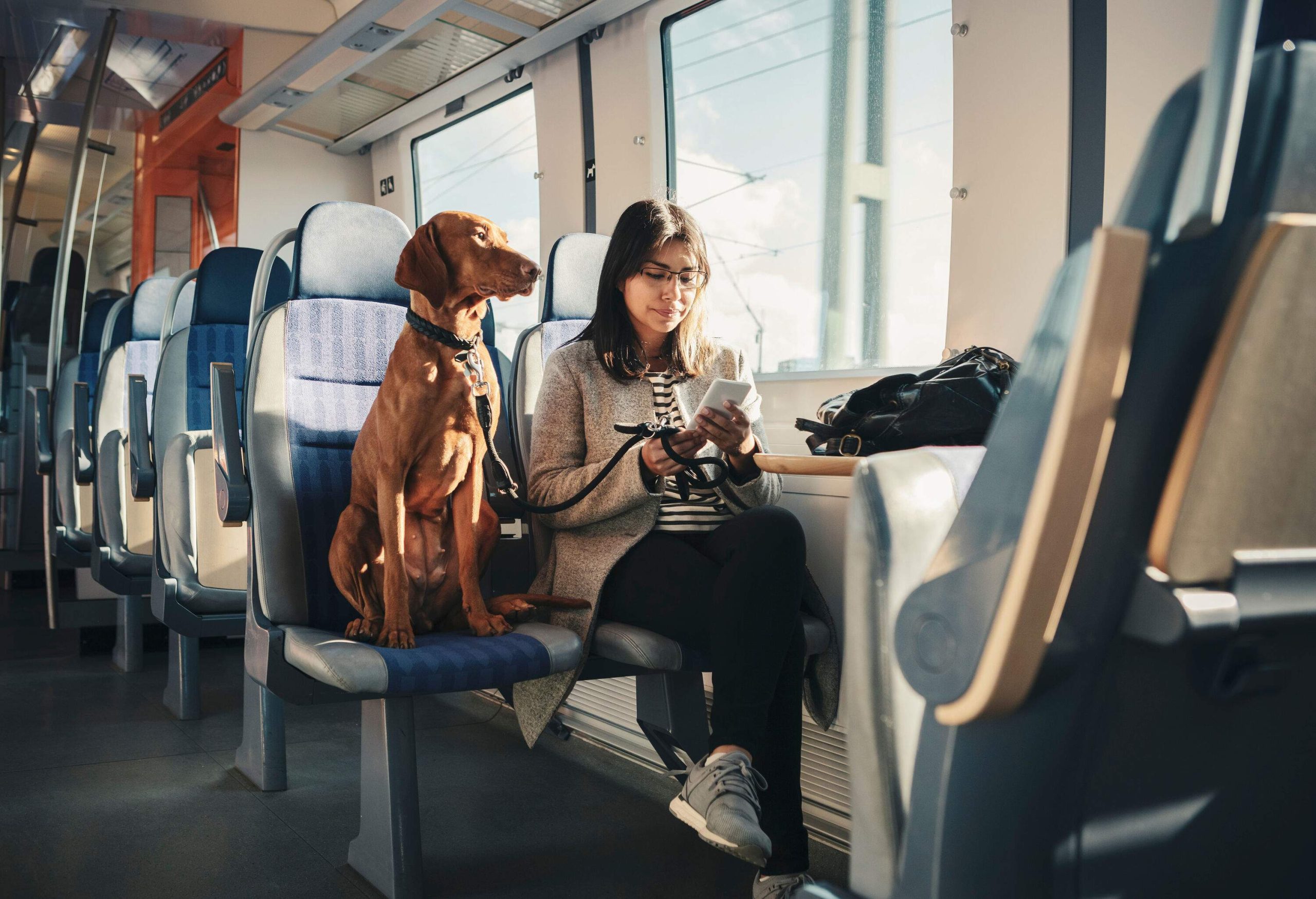 A girl uses her phone while sitting beside a brown dog in a train.