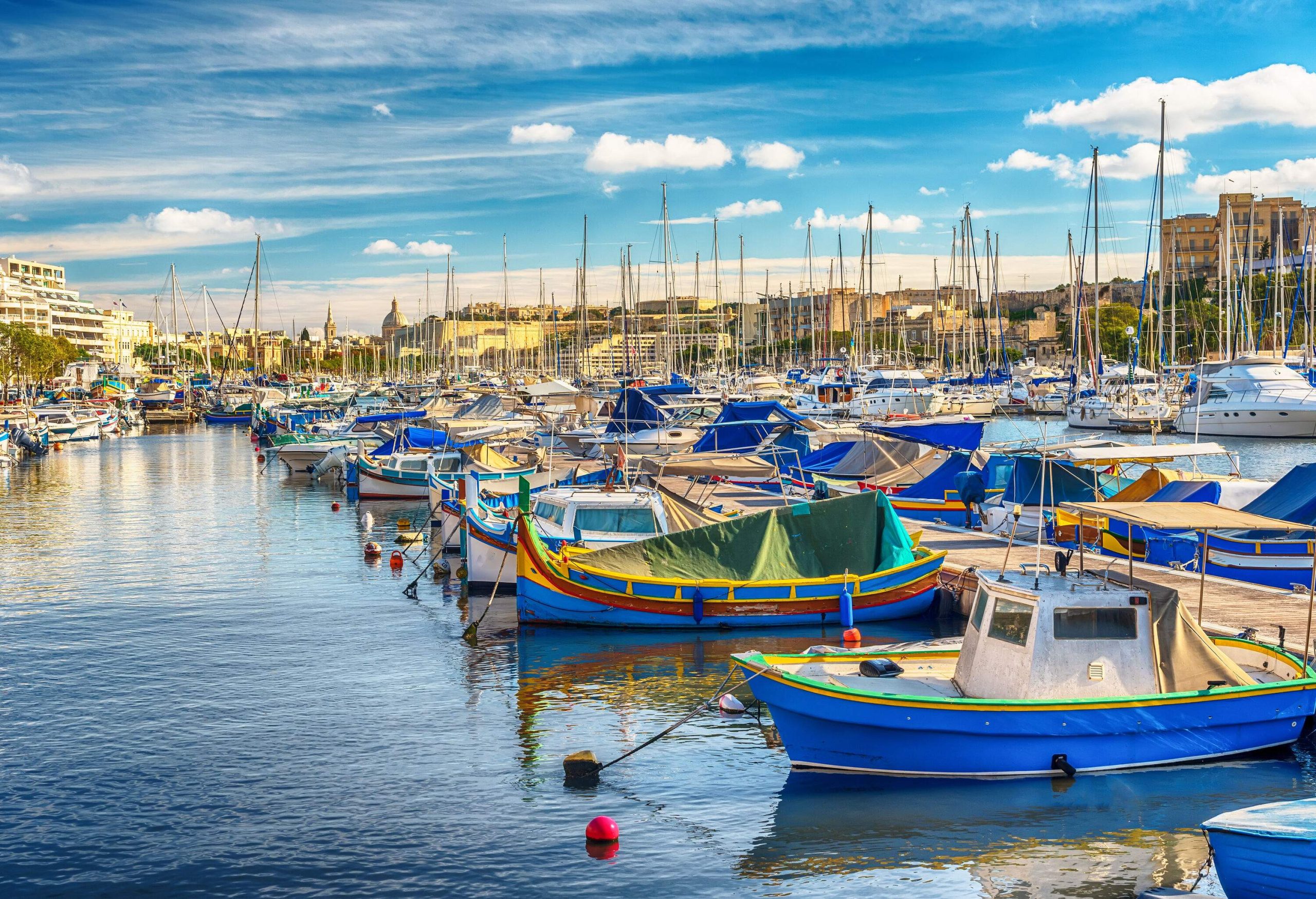 A harbour with rows of anchored boats along the pier.