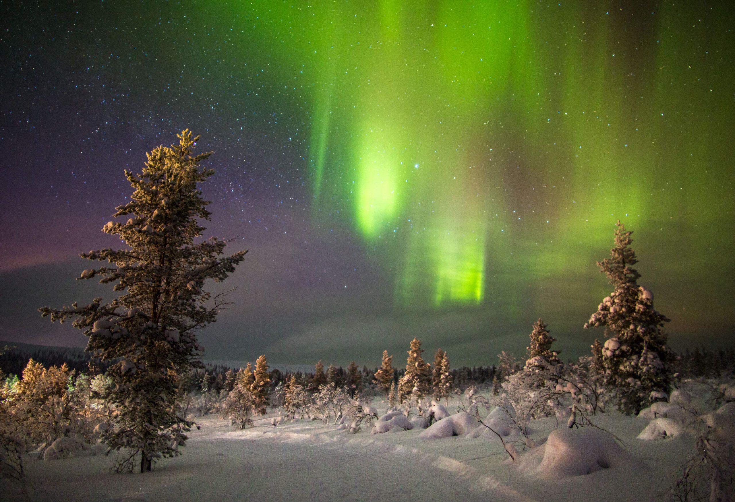 A land of powder snow surrounded by tall frost-covered trees under a green Northern Lights and starry sky.
