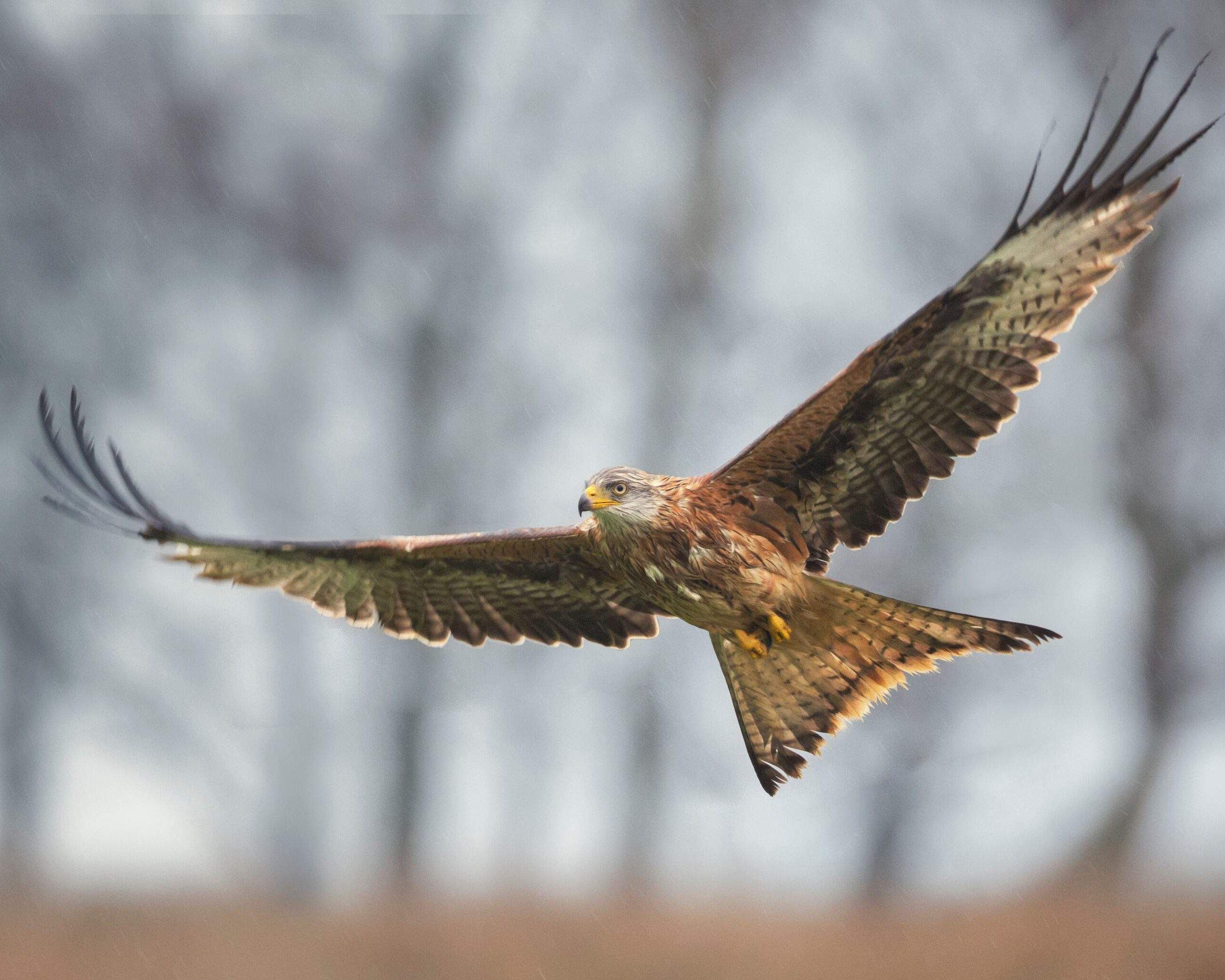 The 9 best hikes near London for all levels KAYAK