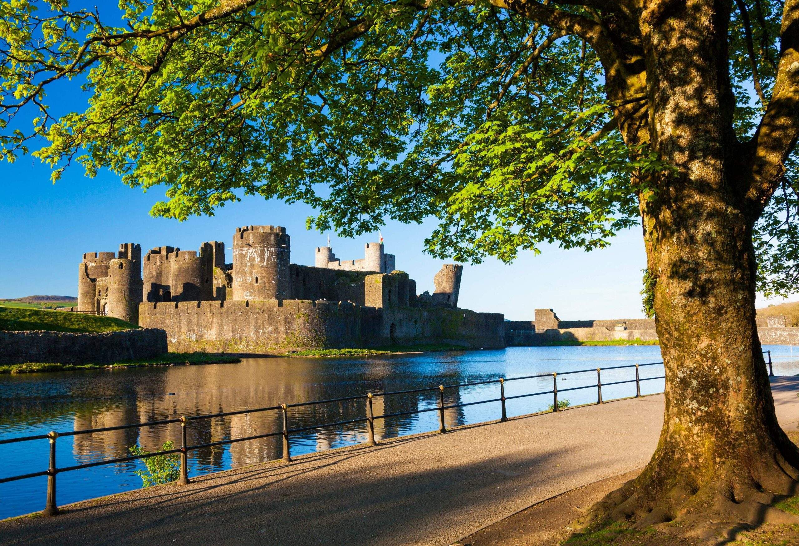 A fenced walkway beneath a large tree that offers views of the river and the medieval Caerphilly Castle.