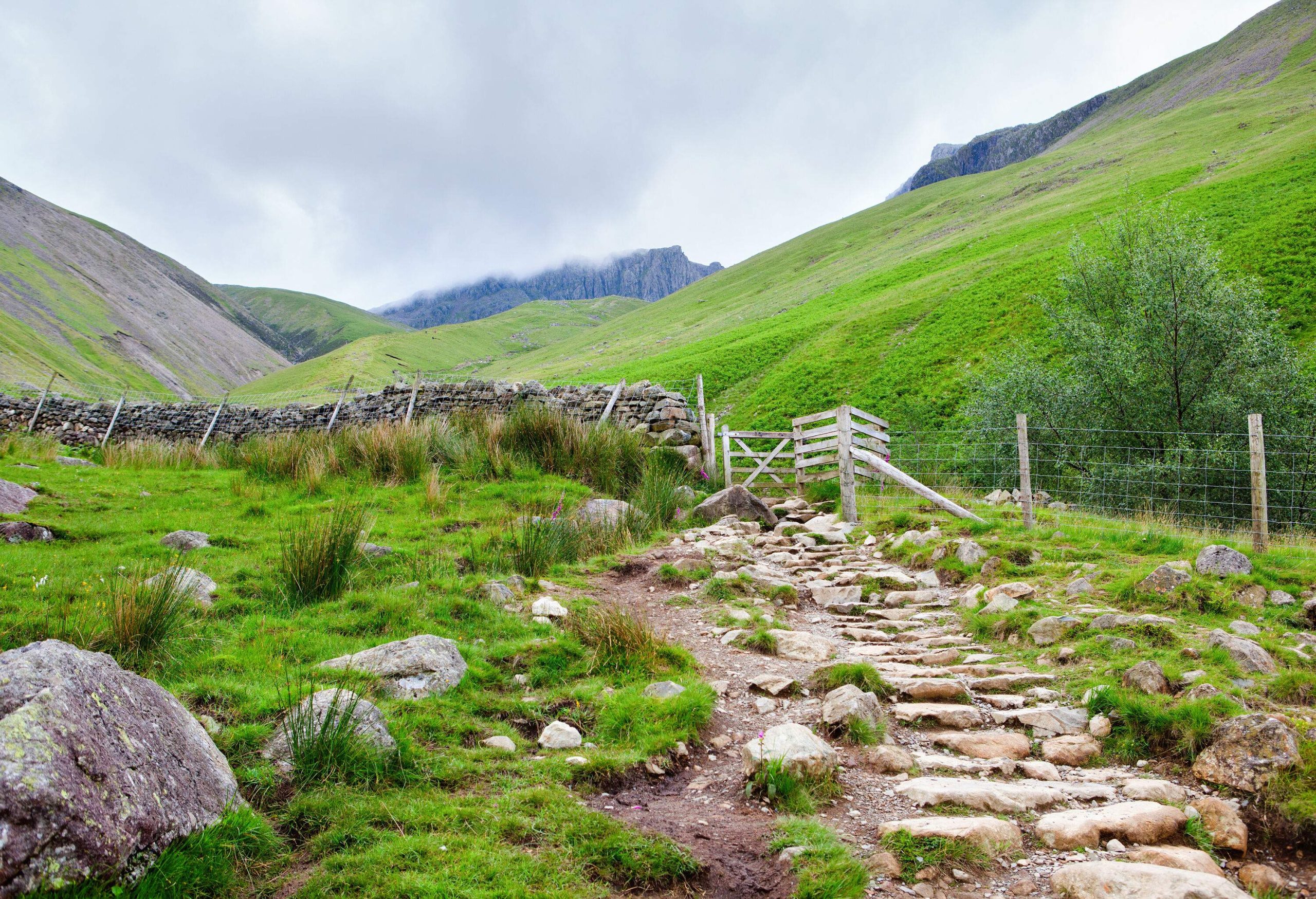 A rocky path in the valley of the lush sloppy mountains.