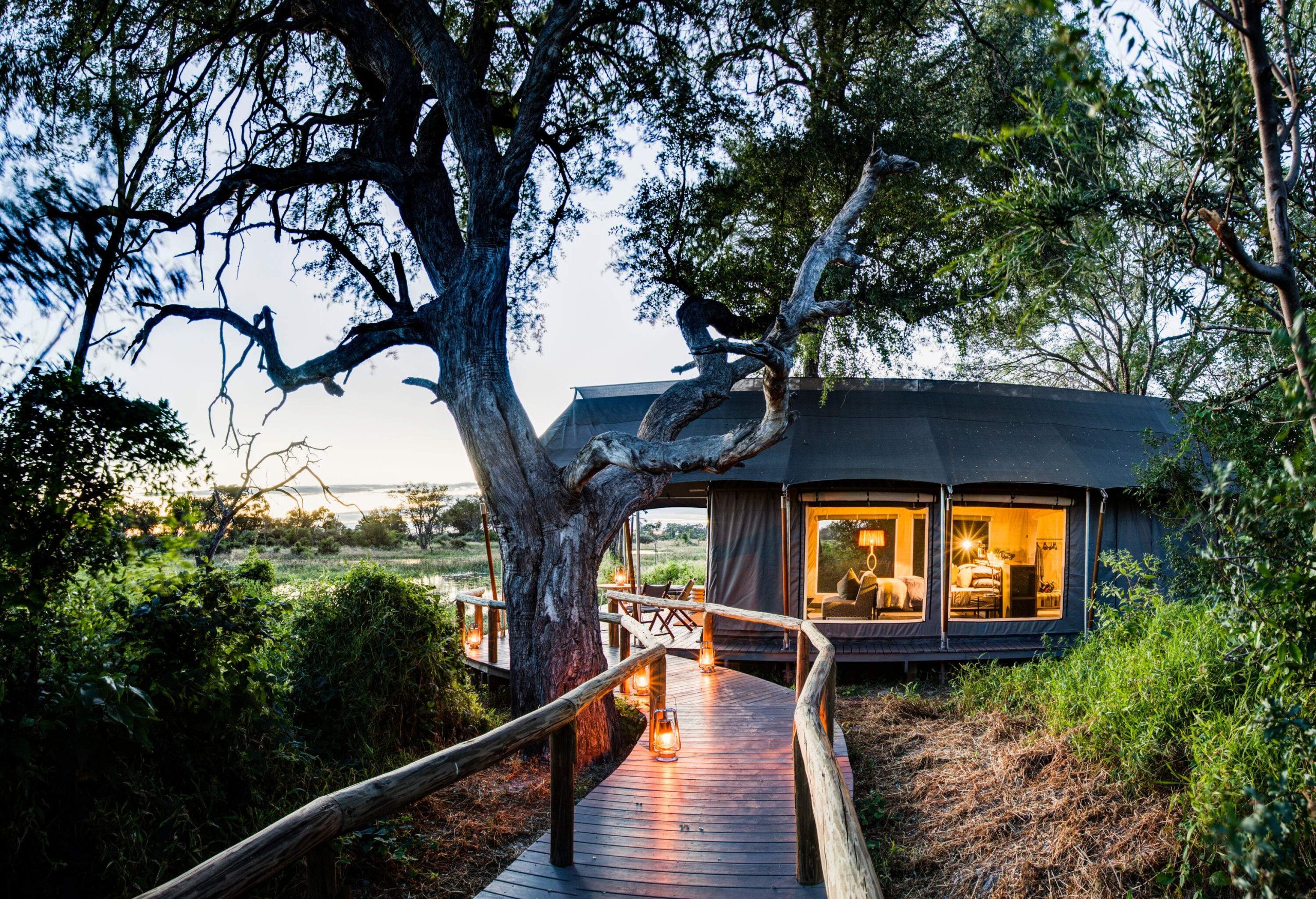 Wooden path leading to a furnished tent under a large tree.