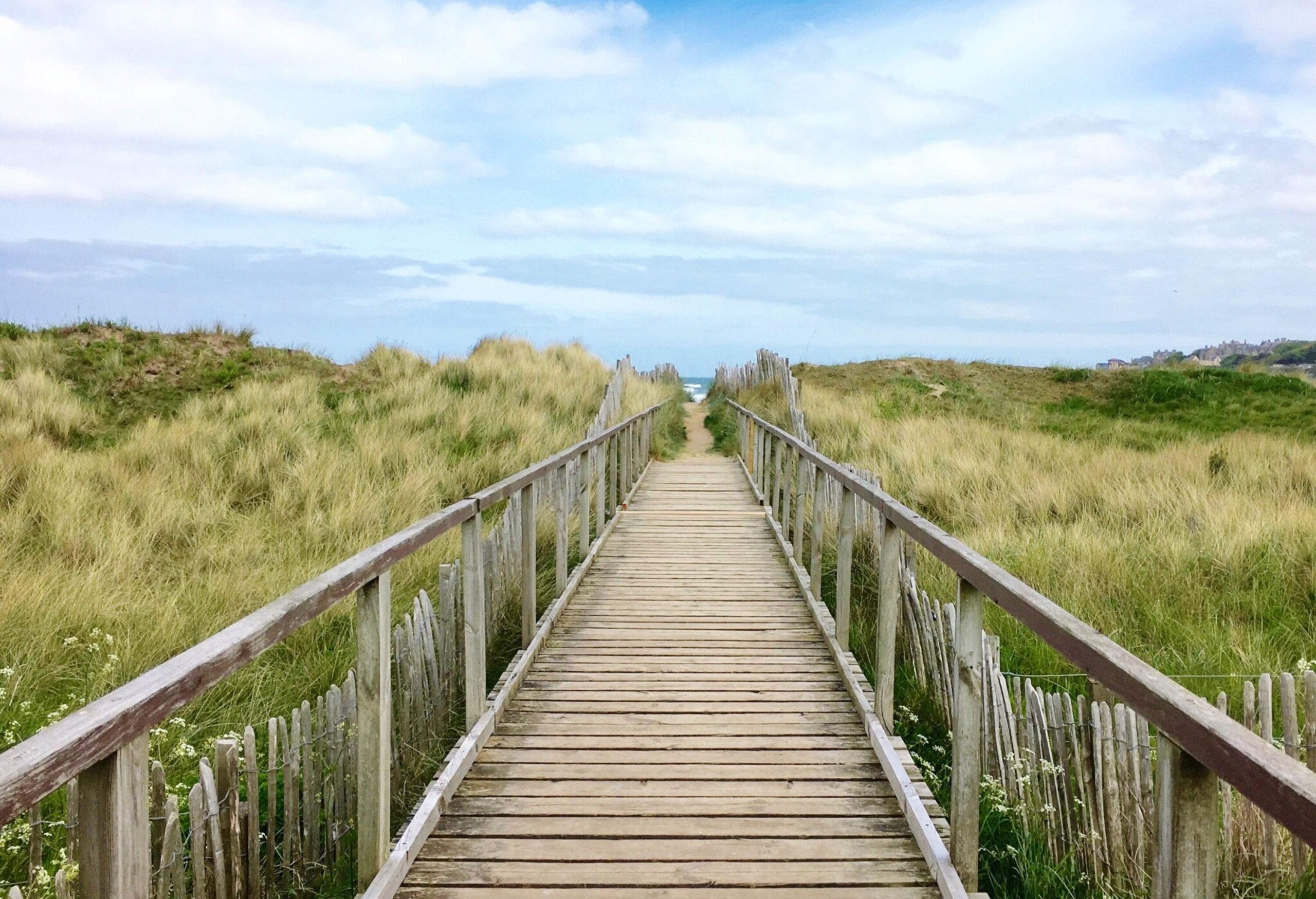 A wooden walkway across a grass field.