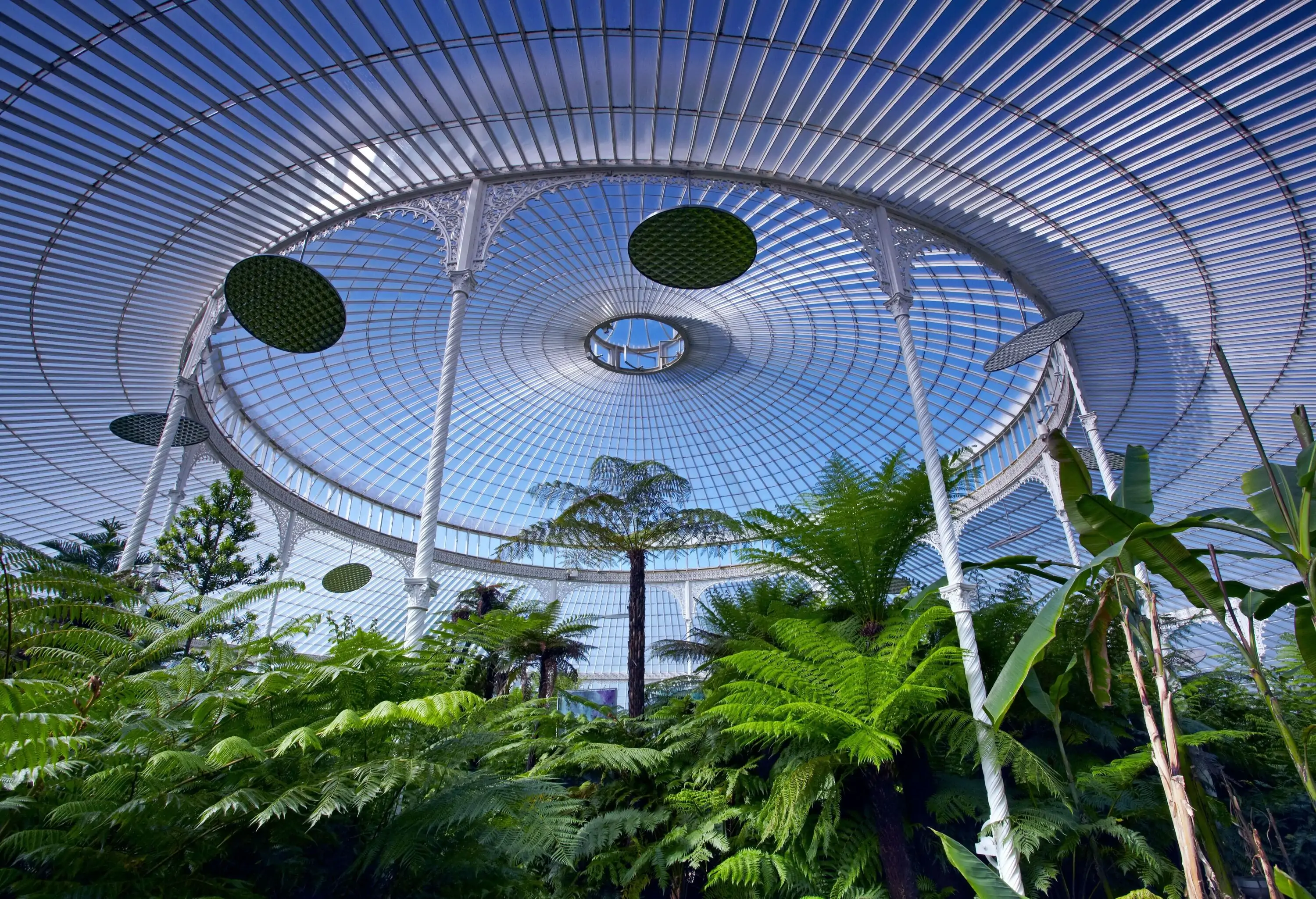 Lush greeny plants covered with a wrought iron-framed glasshouse.
