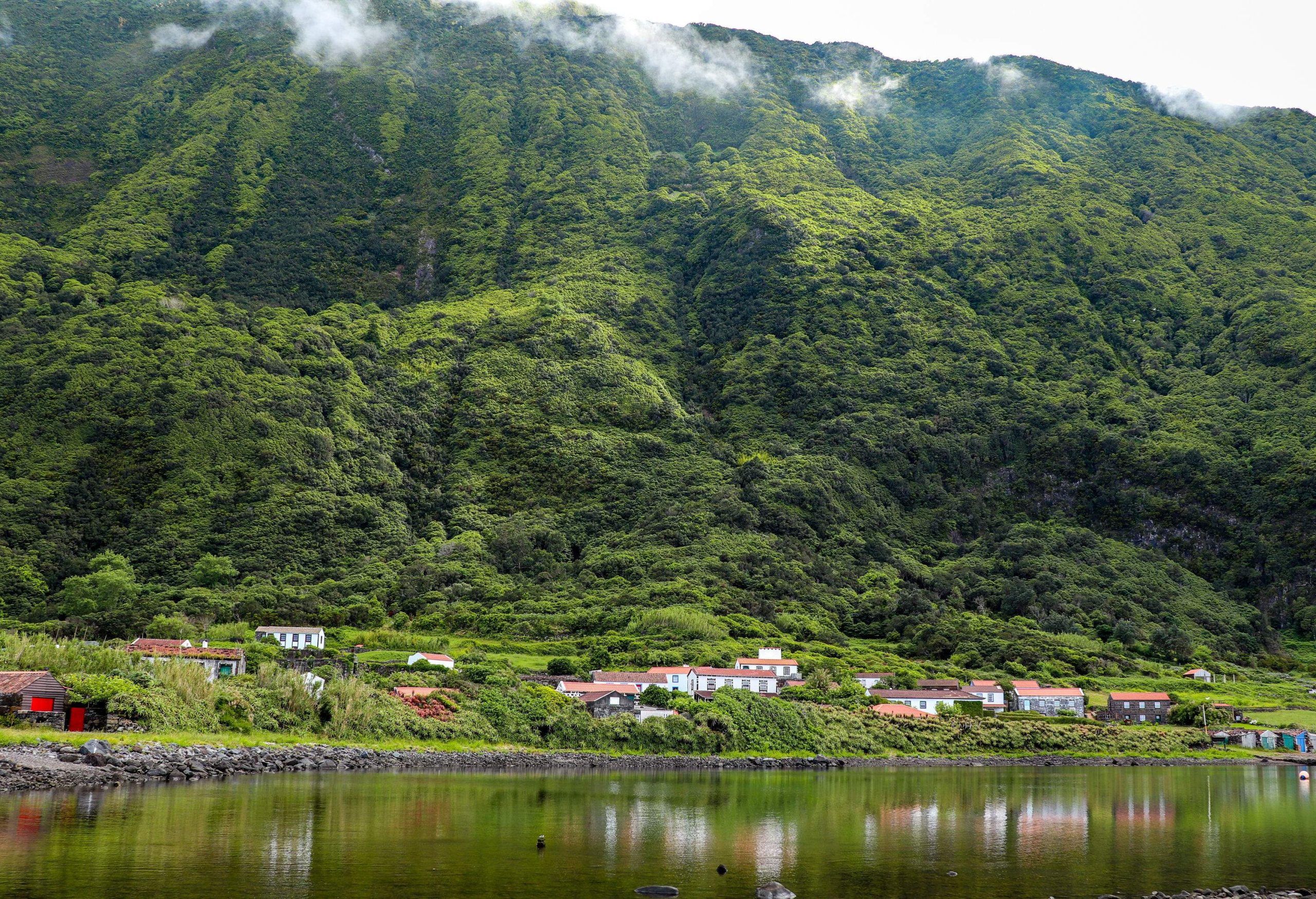 A small neighbourhood on the riverbank at the foot of a steep forested mountain.