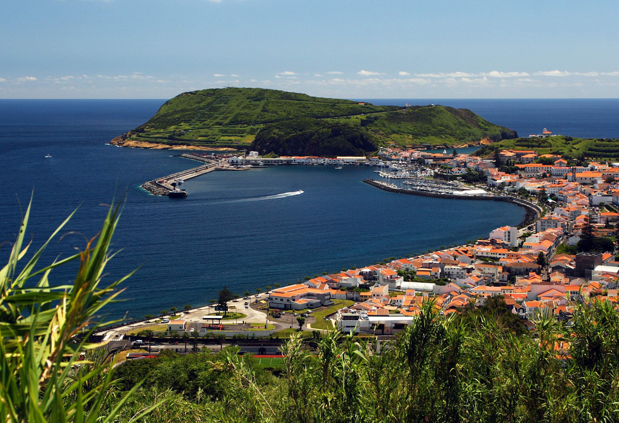 A quaint coastal town nestled beside a lush, green hill on the water's edge, featuring a bustling port and a protective breakwater.