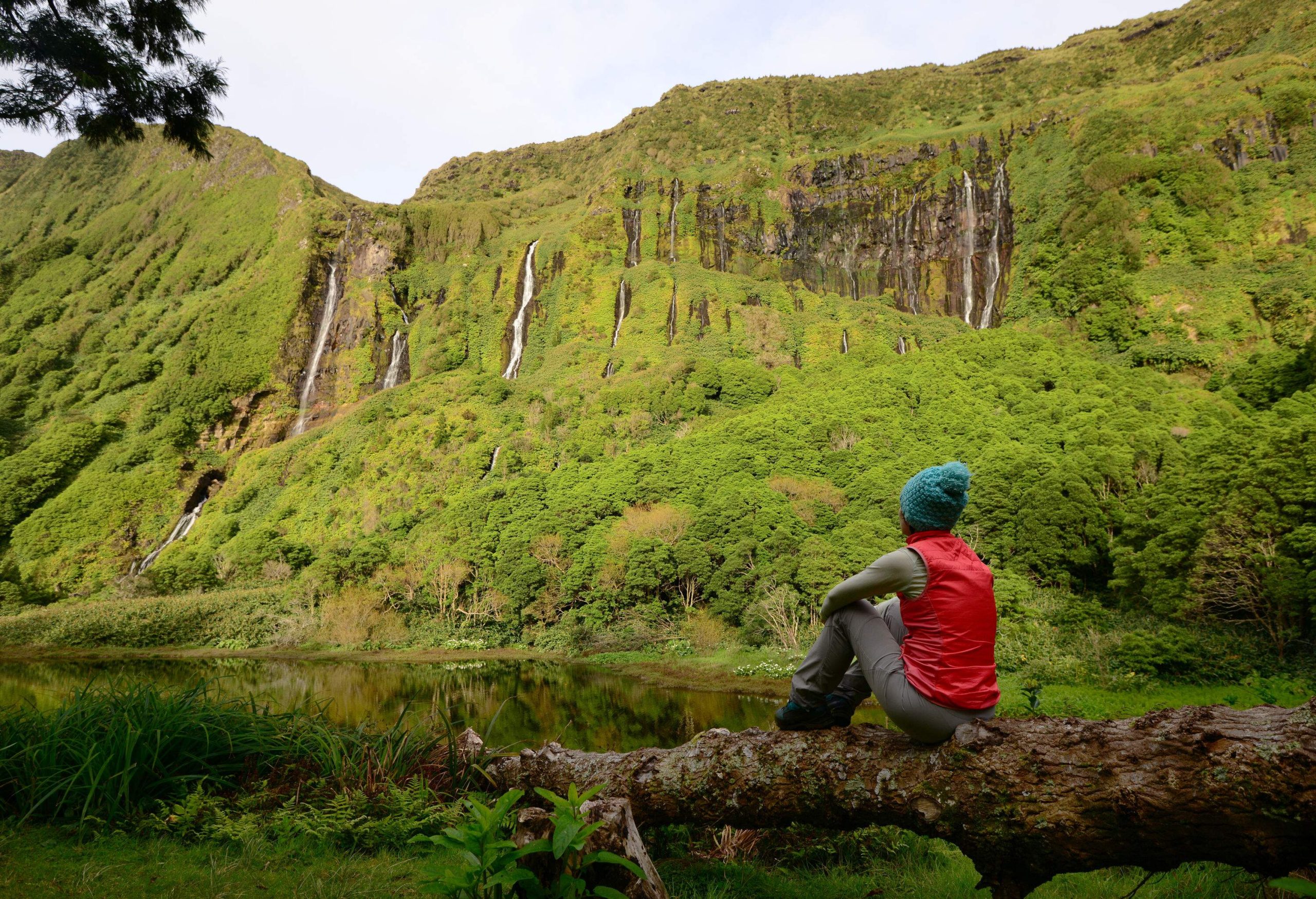 An individual sits on a trunk overlooking the lush cliff.