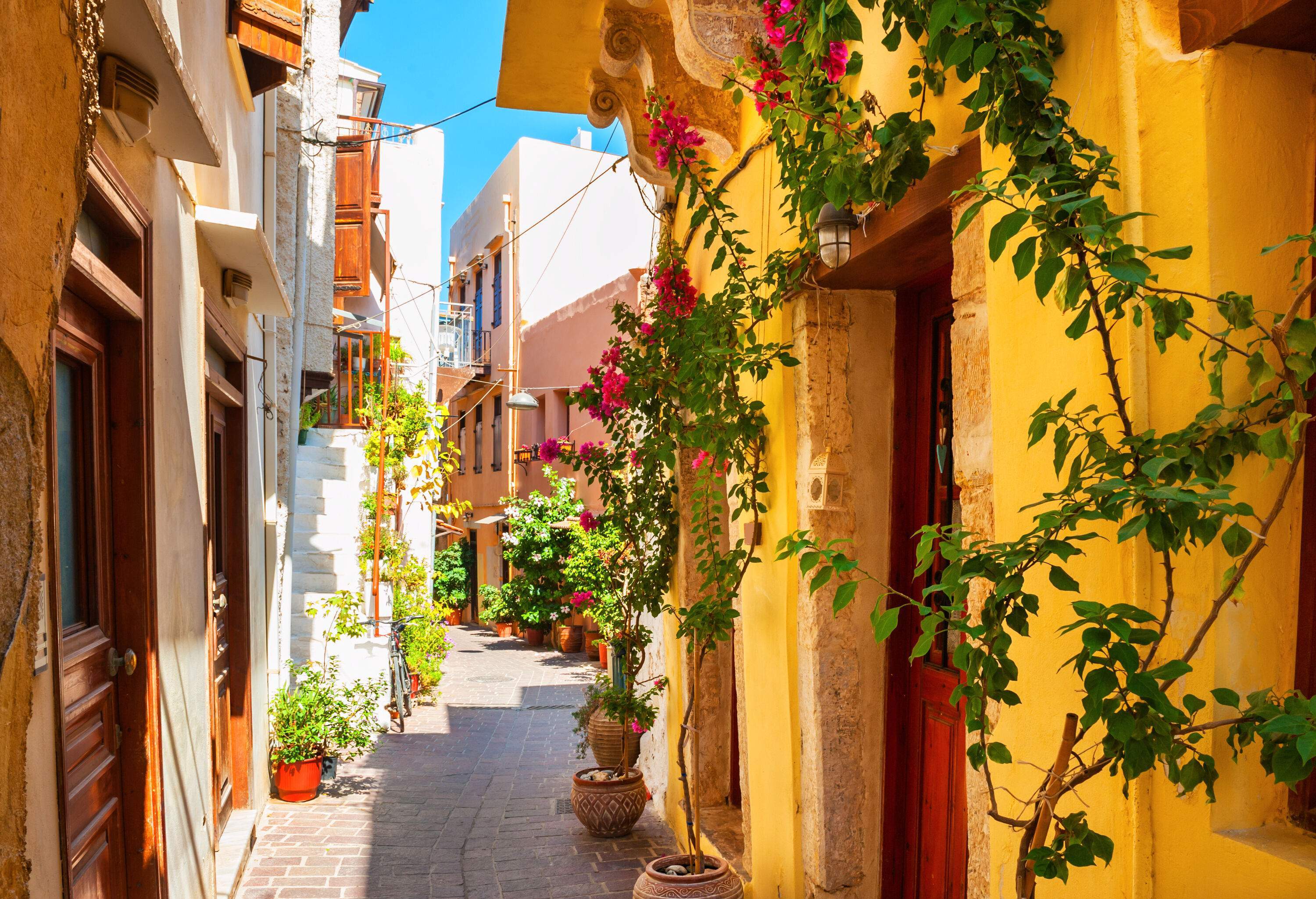 A small path across a neighbourhood of colourful buildings lined with potted plants.