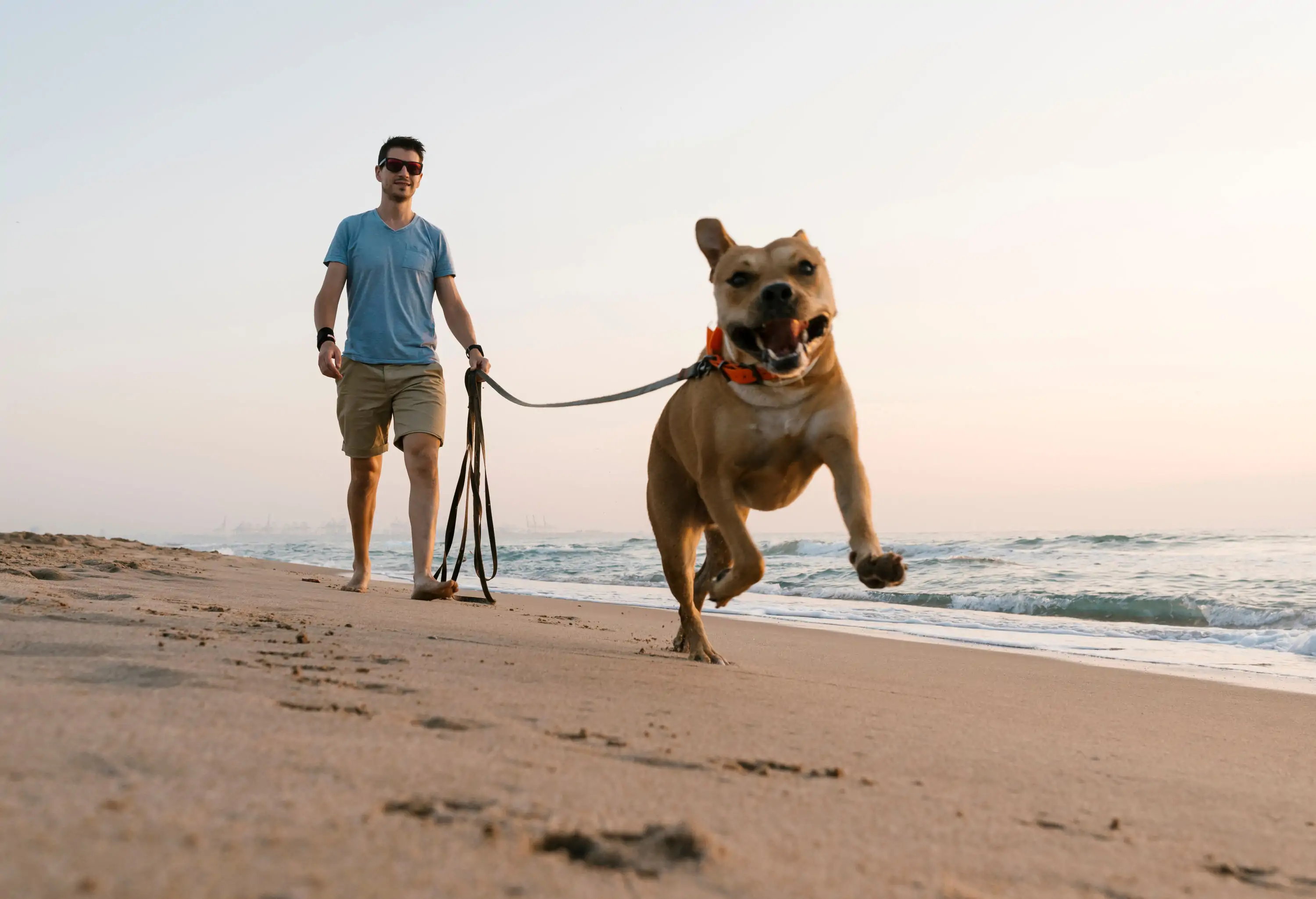 A person holds a leash of a dog running on the beach.