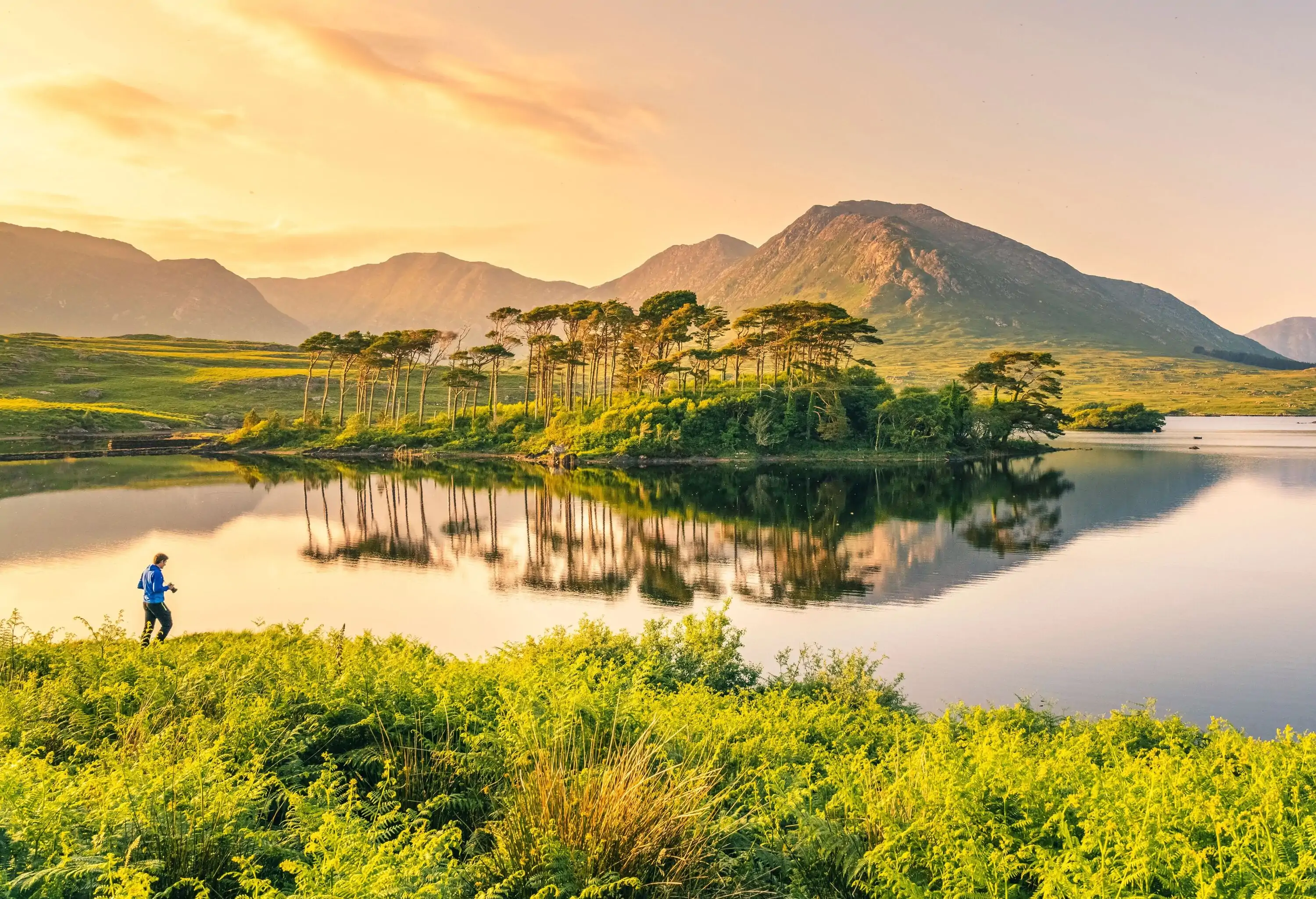Man running through a marsh at golden hour