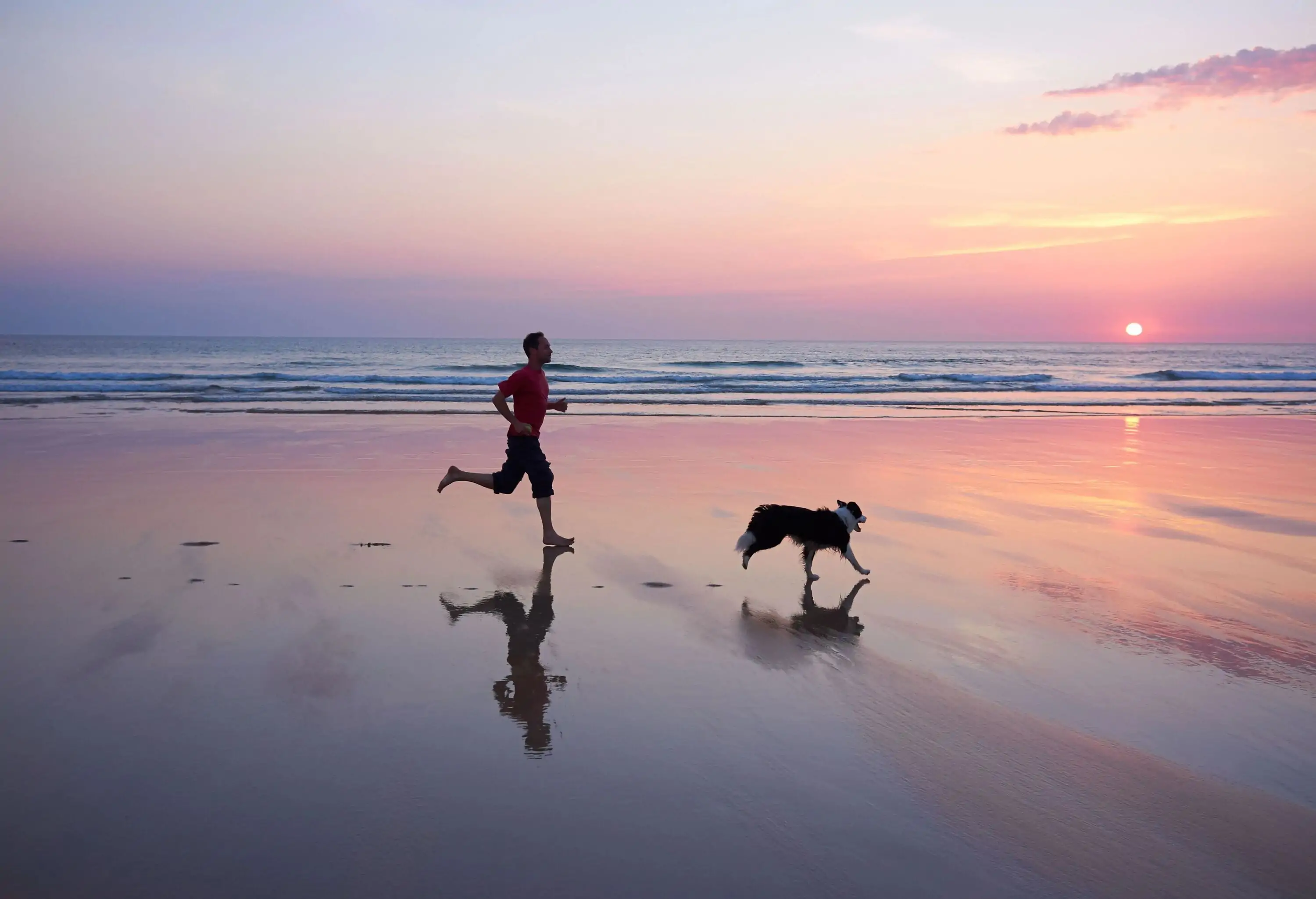 Running alongside the shore as dusk falls are a person and a dog.