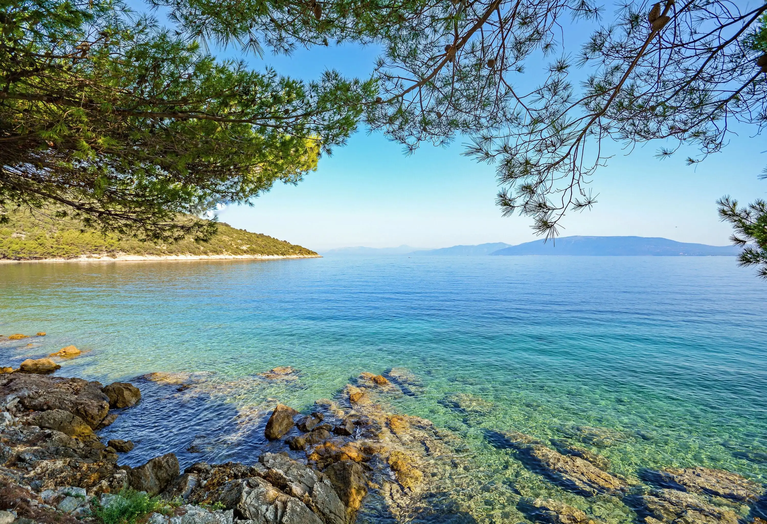 Rocky coastline on a crystal-clear beach under the shade of trees.