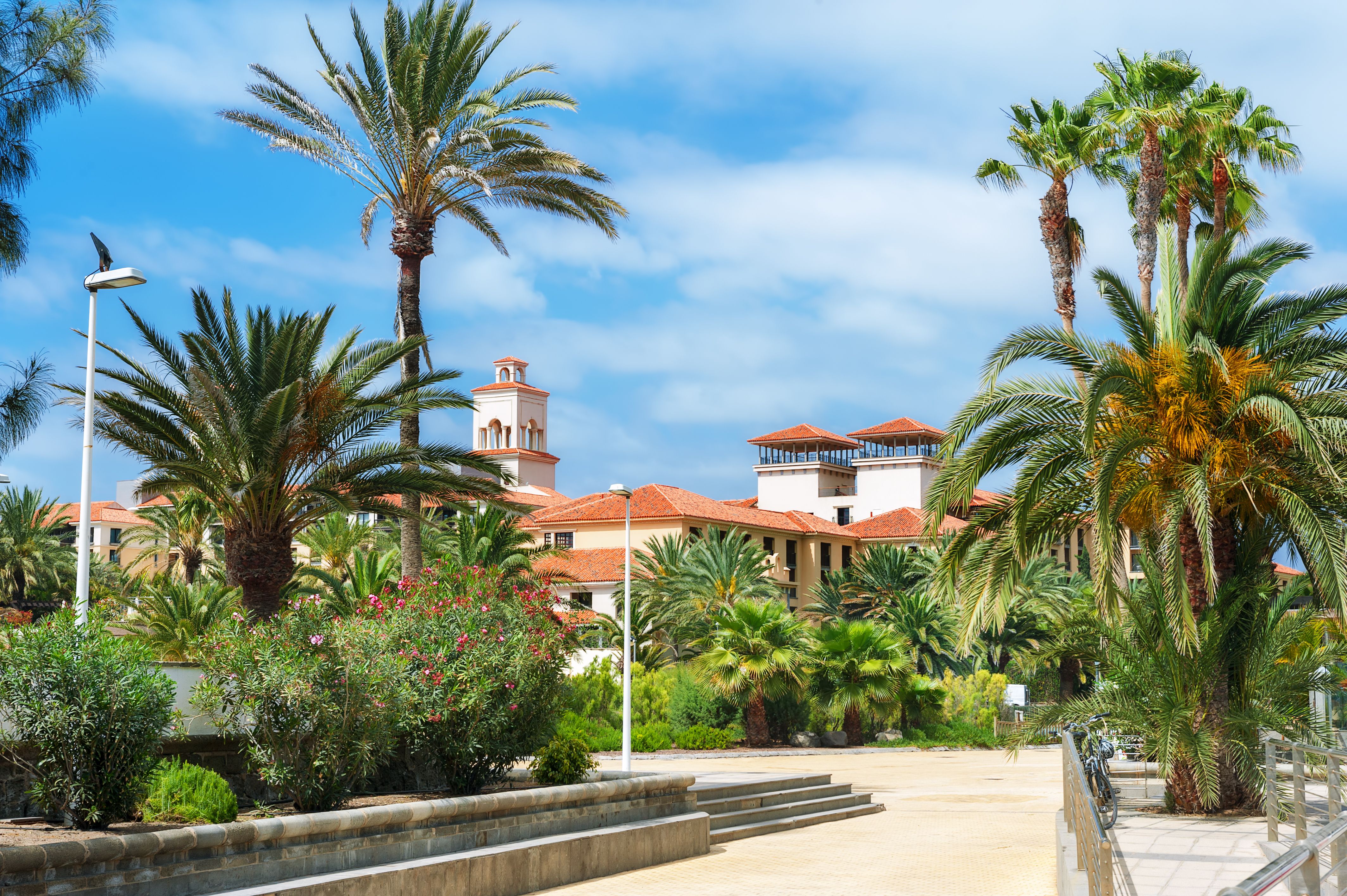 £35 Cheap Flights from London to Canary Islands KAYAK