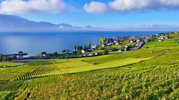 Montreux bed & breakfasts