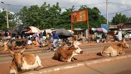 Find cheap flights to Bamako