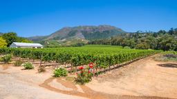 Riversdale hotels