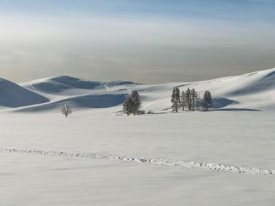 West Yellowstone