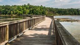 Newport News car hire