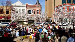 Find cheap flights from London Heathrow Airport to Fayetteville
