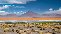 Find cheap flights from London City to Ecuador