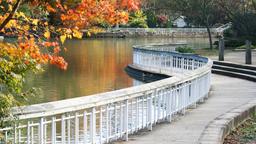 Raleigh car hire