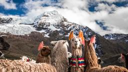 Cusco inns