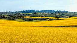 Find cheap flights to Idaho