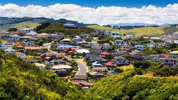 Find cheap flights to Wellington