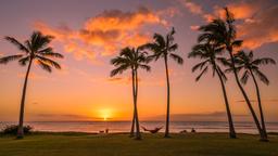 Find cheap flights from Newcastle upon Tyne to Honolulu