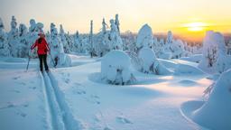 Find cheap flights to Lapland