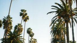 West Hollywood Hotels