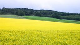 Tuusula hotels
