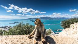 Gibraltar car hire