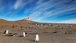 Find cheap flights to Punta Arenas