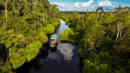 Find cheap flights to Borneo