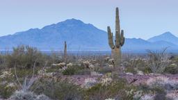 Yuma car hire