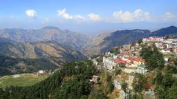 Shimla hotels