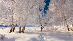 Find cheap flights from Manchester to Finland