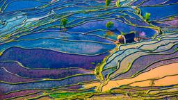 Yunnan hotels