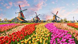 Find cheap flights from Bristol to North Holland