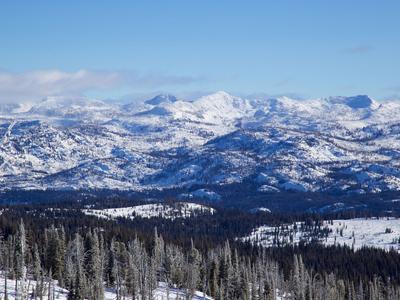 McCall
