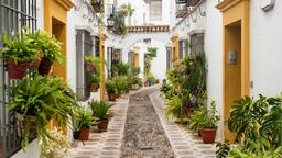 Find cheap flights from Manchester to Spain