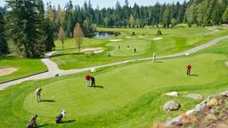 Hotels near Coal Harbour airport
