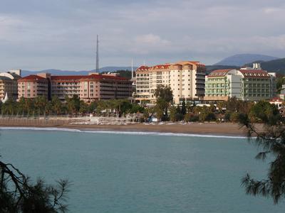 Okurcalar