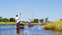 Maun Hotels