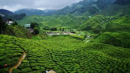 Find cheap flights from Bristol to Cameroon
