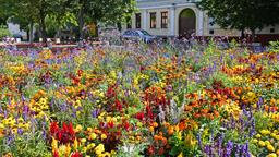 Debrecen car hire