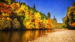 Pitlochry Hotels